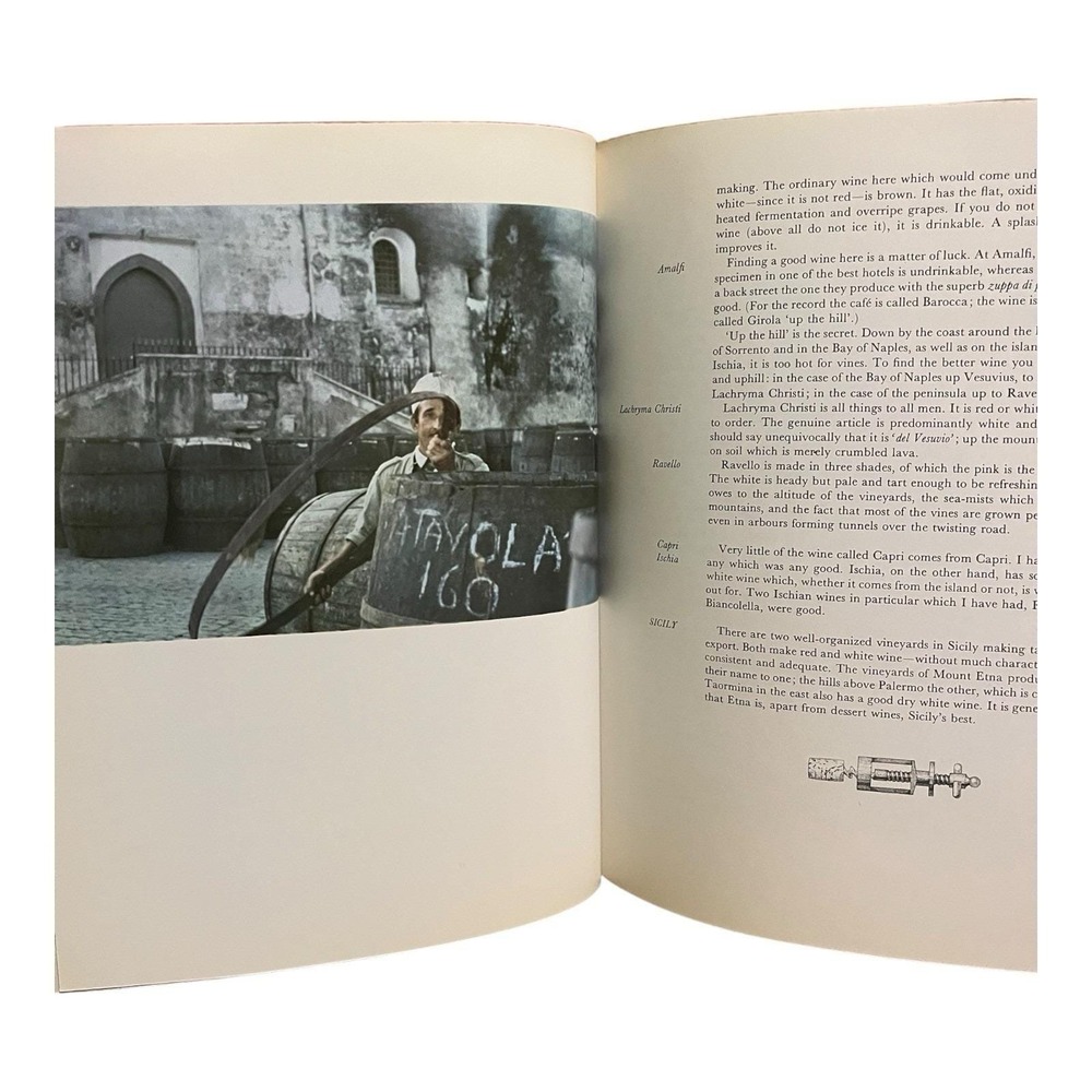 Wine by Hugh Johnson A Wine Guide Hardcover Book 1973 Printed in Great Britain - Picture 6 of 9